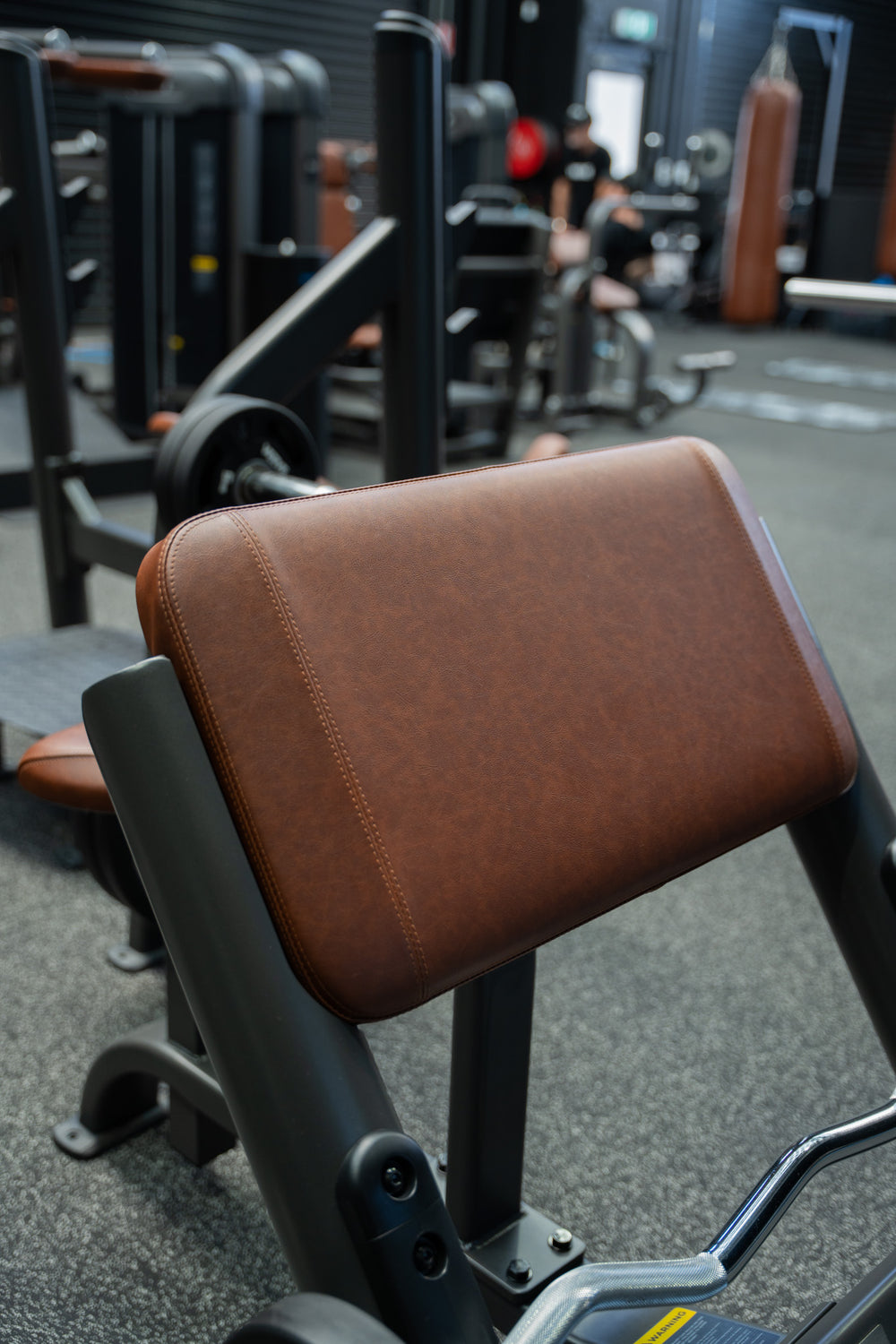 Banc à biceps Scott VERVE (Noir) - Série Makoto | Précommande prévue pour début octobre