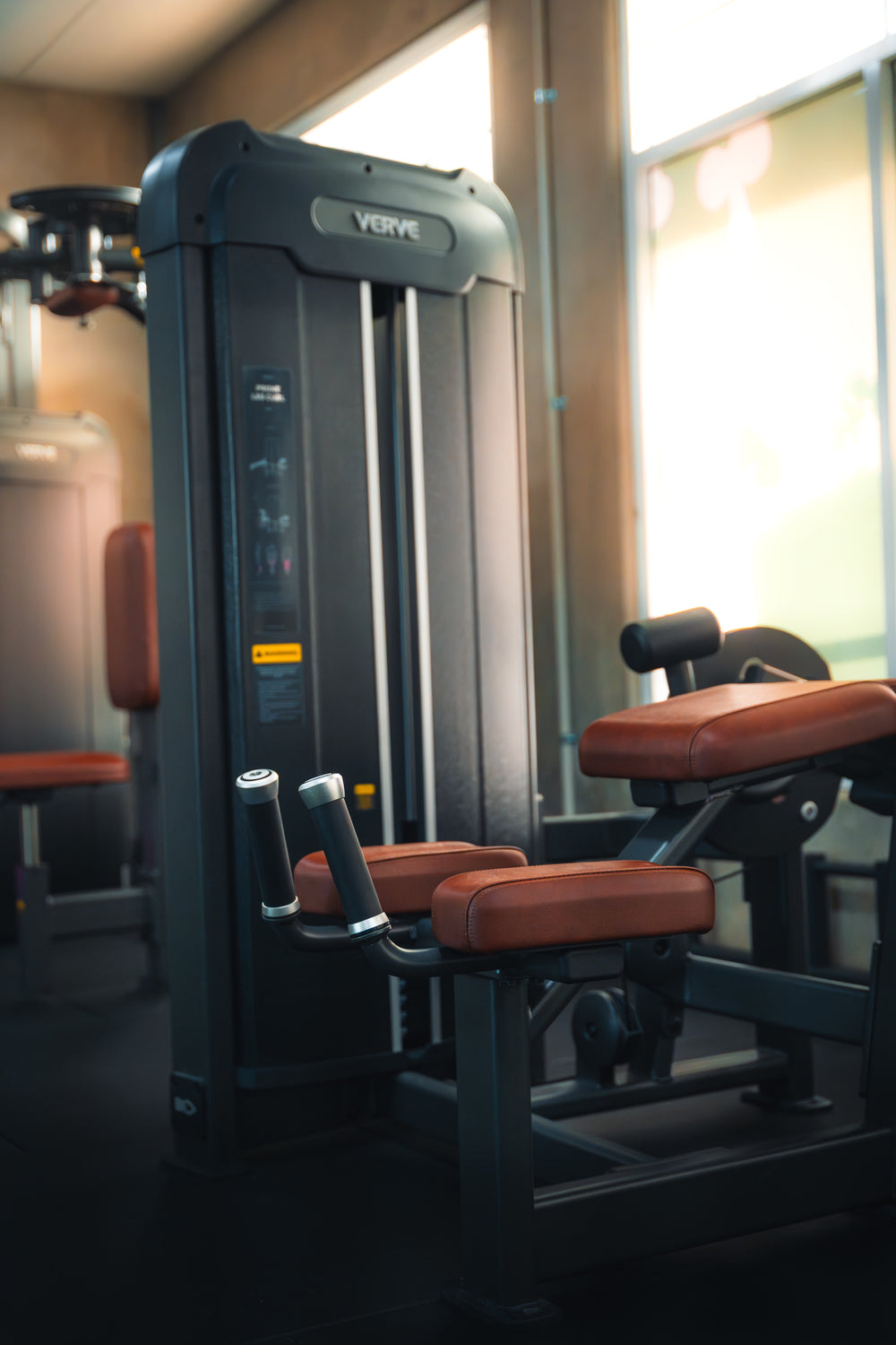 VERVE Machine à ischio-jambiers allongés à charge guidée (Marron) - Série Makoto