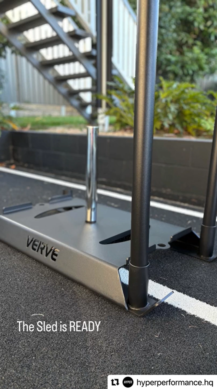 Luge de musculation VERVE Panther