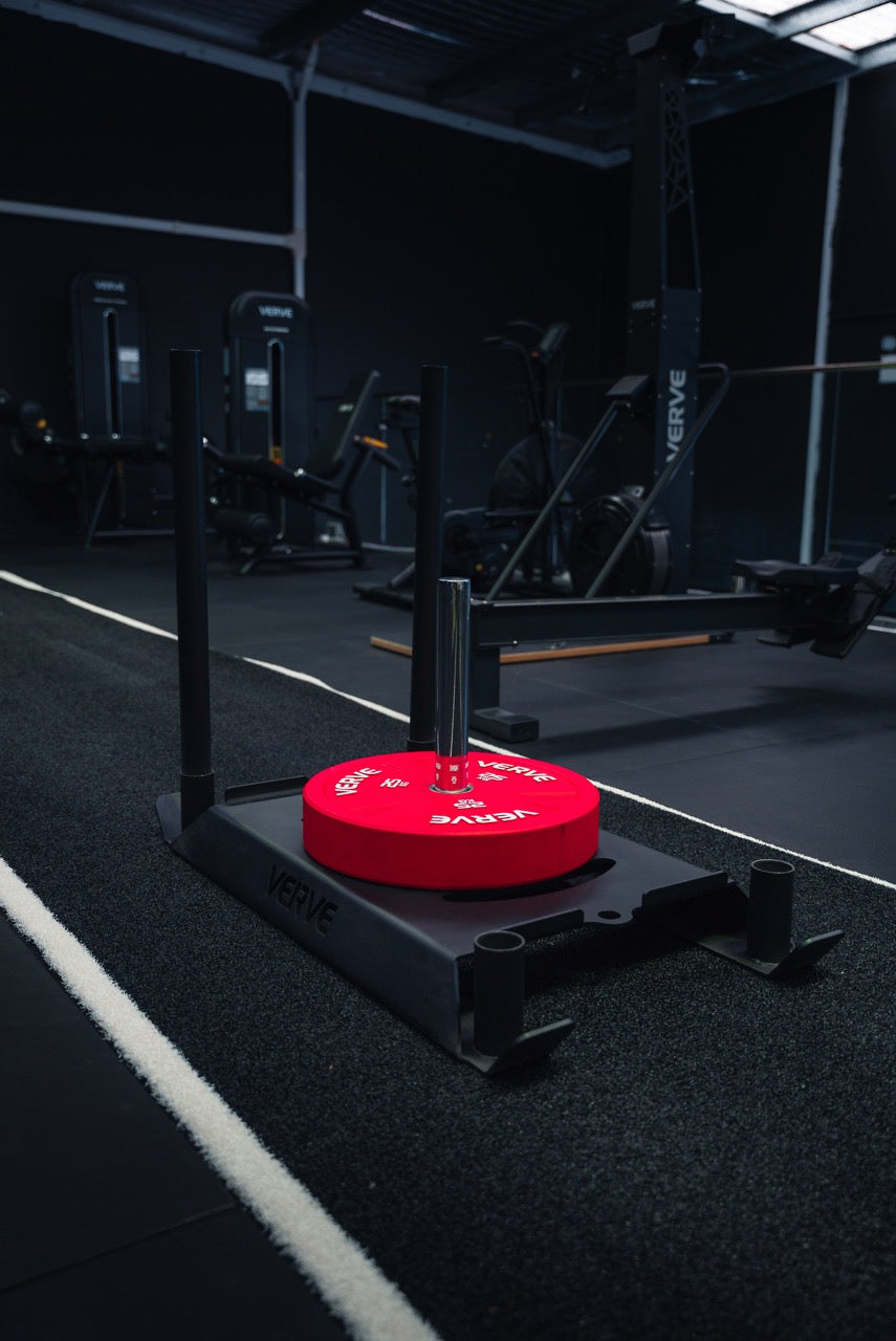 Luge de musculation VERVE Panther