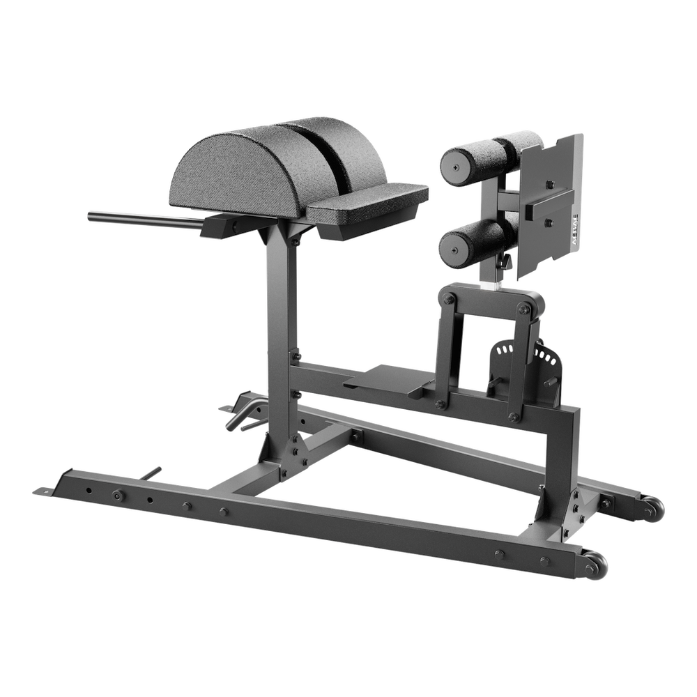 VERVE GHD Glute Ham Developer - Réglage rapide | Précommande prévue fin octobre