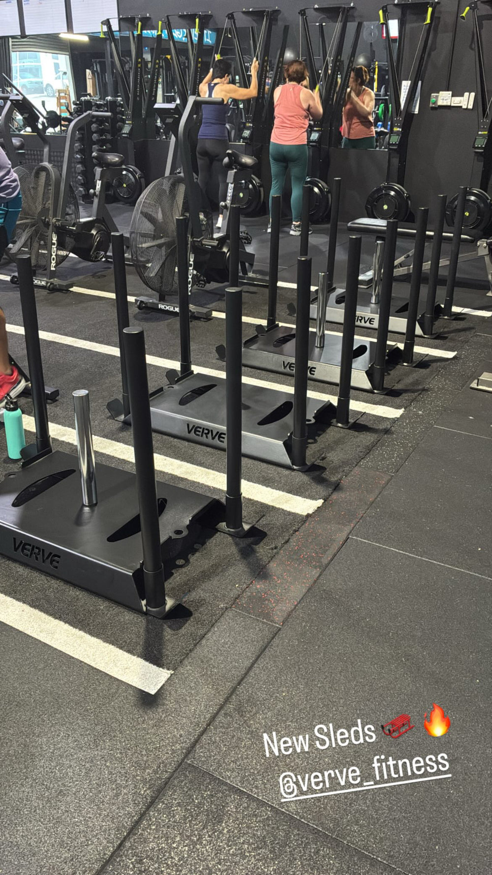 Luge de musculation VERVE Panther
