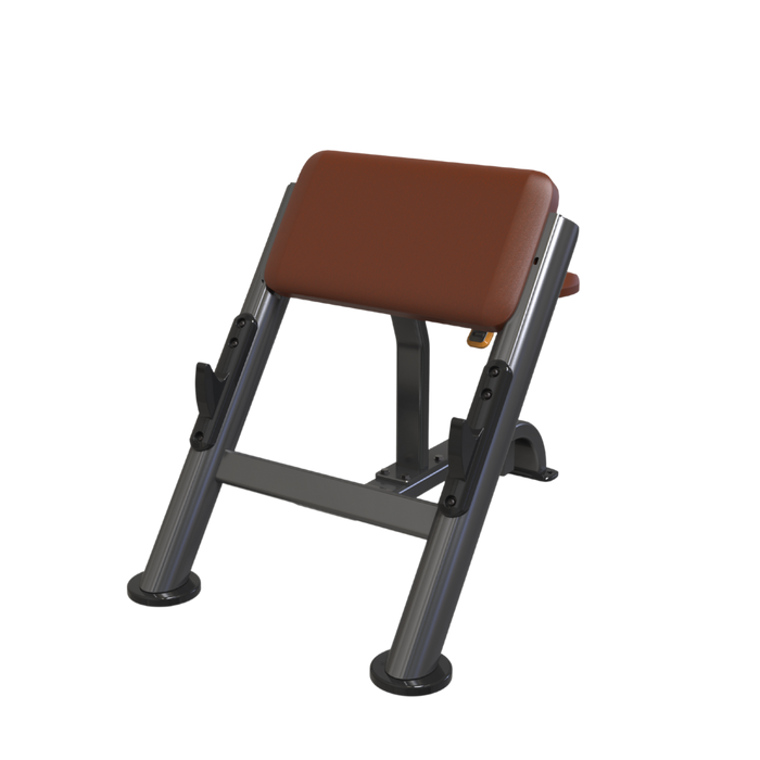 Banc à biceps (Scott) VERVE Preacher Curl (Marron) - Série Makoto