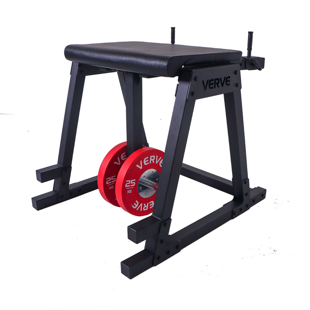 VERVE Reverse Hyperextension