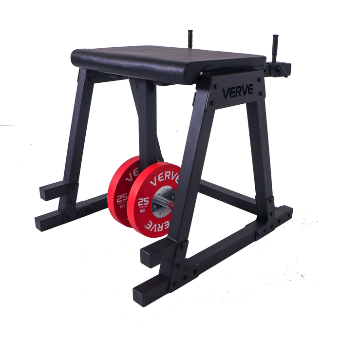 VERVE Reverse Hyperextension